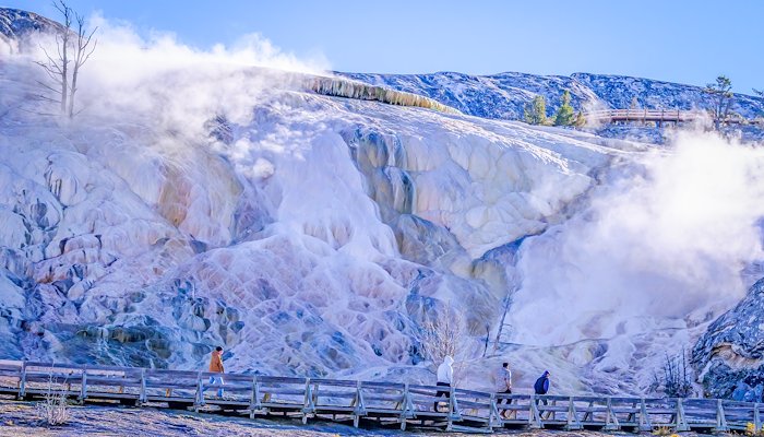 Read Yellowstone by Tom Dorsz