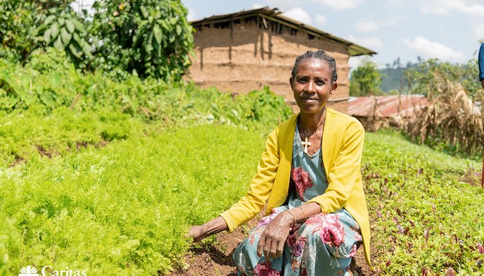 Read Annual Report 2024/25 Highlights by Connie Zehender