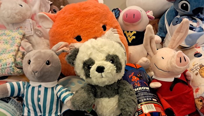 Read SOMETHING TO HOLD ON TO by Matt Sunday