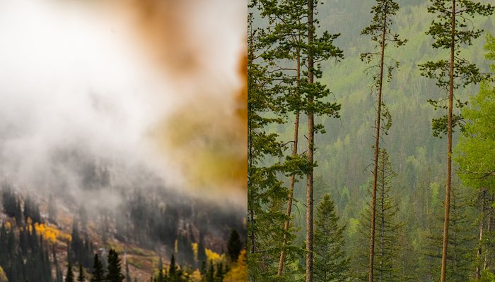 Read Giving Thanks&nbsp; by Rivian