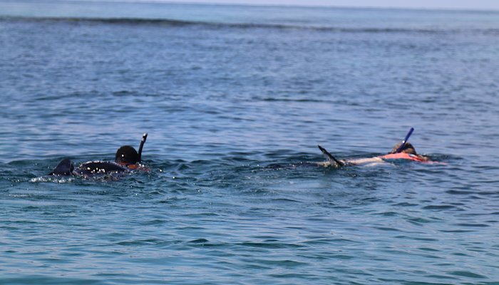 Read Personal Reflections by IW:LEARN