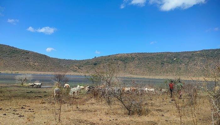 Read Technology, tradition and co-existence by SouthSouthNorth