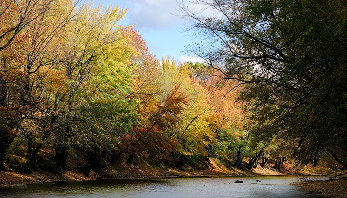 Read Autumn 2025 by Ash Furrow