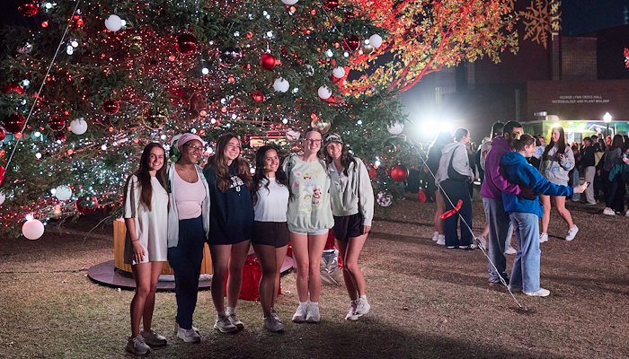 Read The Soval Series: Holiday Lights by MarComm Creative