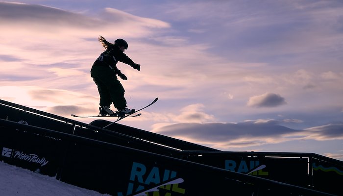 Read 2025: Year in Pictures by Kelly Gorham