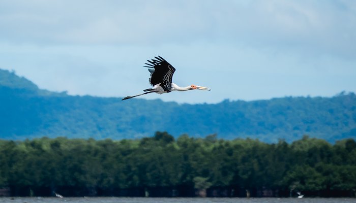 Read Cambodia Advances Coastal Resilience&nbsp; by IW:LEARN