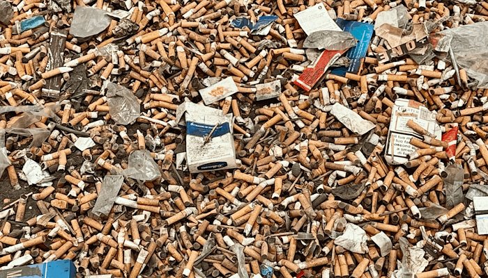 Read TRIPLE TROUBLE by Julia Revitt Photography