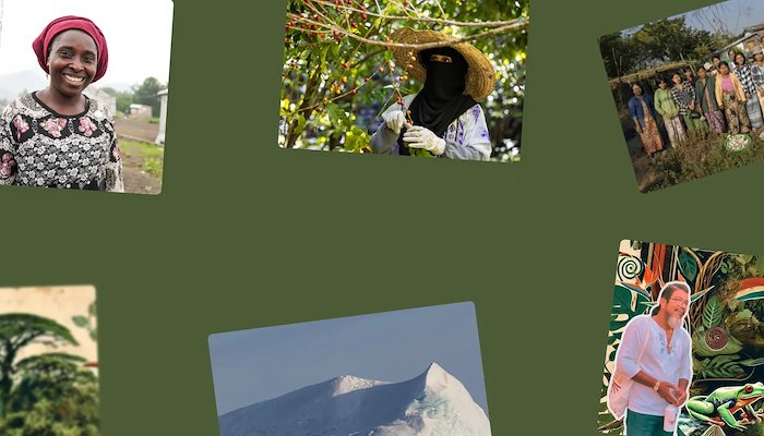 Read Buenas noticias que quizás pasaste por alto by United Nations Development Programme