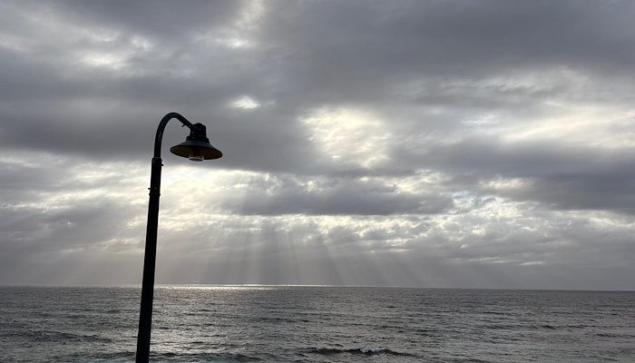 Read 14 of the best by EAT MORE LARD