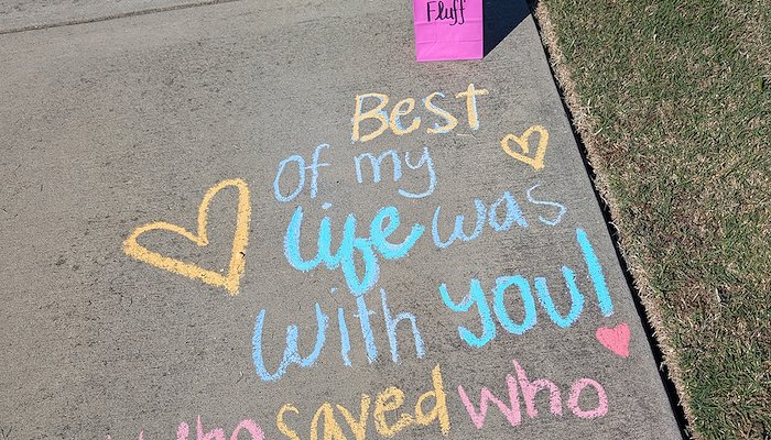 Read Inaugural Rainbow Bridge Walk celebrates the human/animal bond by Vet Med