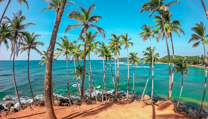 Read DBSJP | SRI LANKA by Trans World Educational Experiences