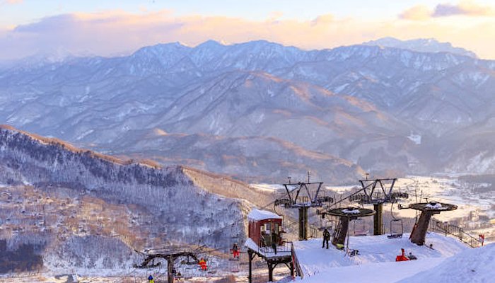 Read KINGS AL BARSHA | JAPAN by Trans World Educational Experiences