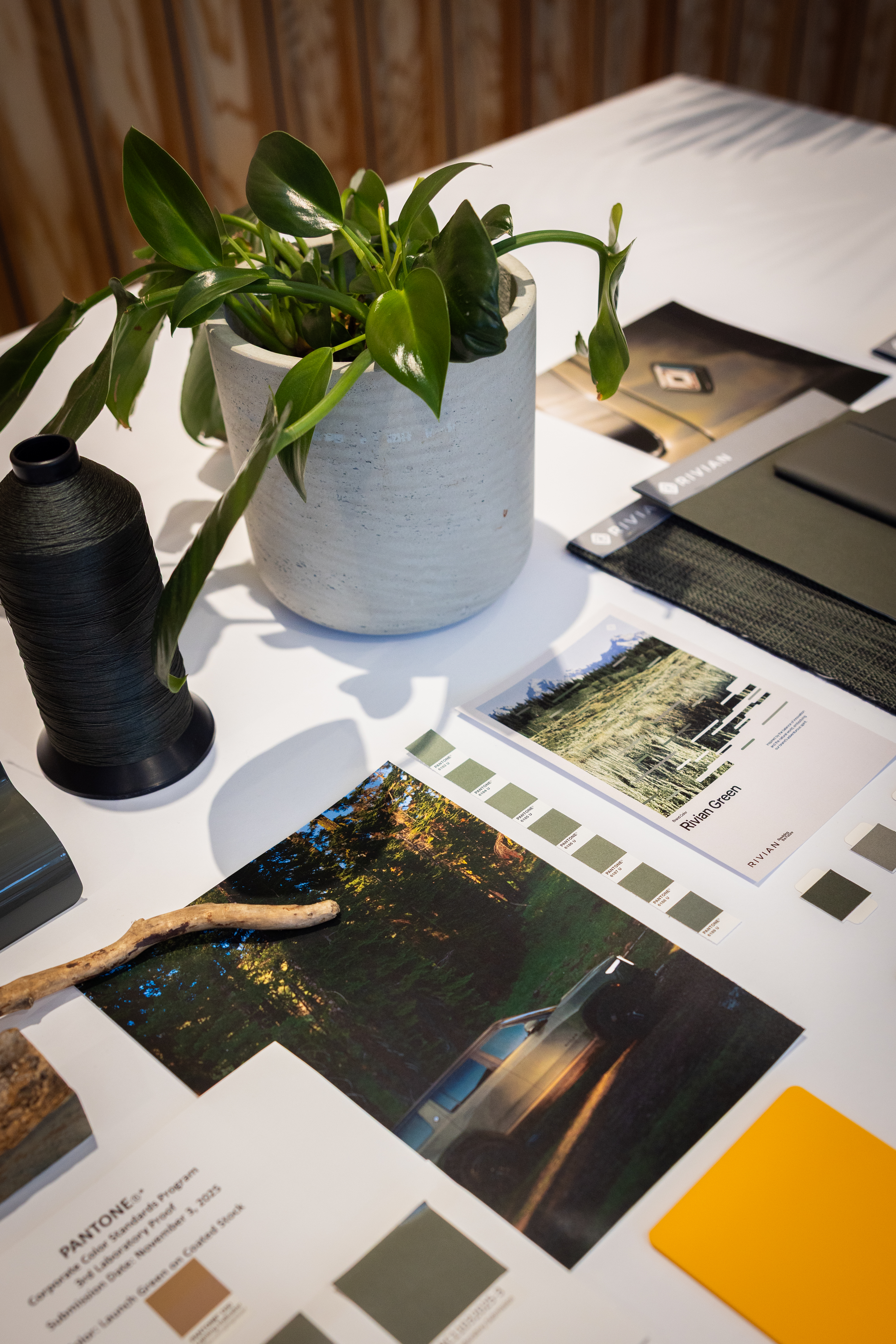 Rivian Green x Pantone