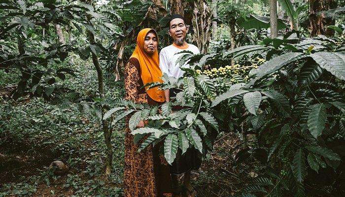 Read Quand un pays inverse la tendance d’une maladie meurtrière ancestrale by The Global Fund