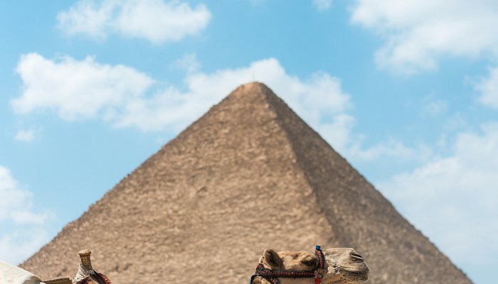 Read DESSC | CAIRO  by Trans World Educational Experiences