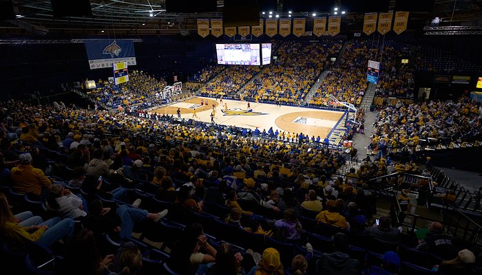 Read Brawl of the Wild Basketball by Kelly Gorham