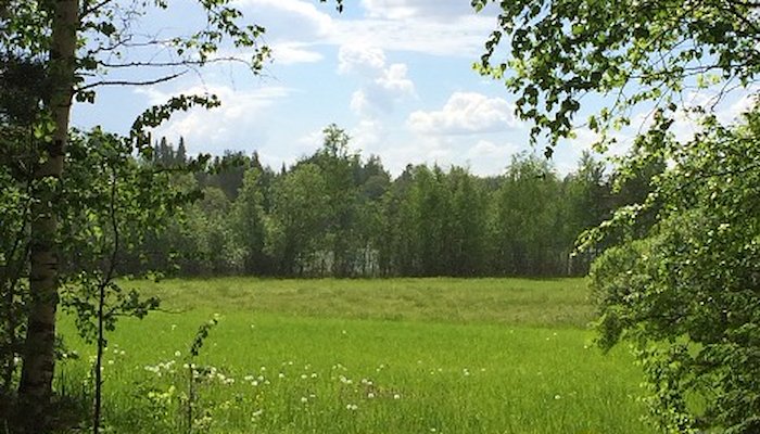 Read Connection to Nature by Tuula Pere