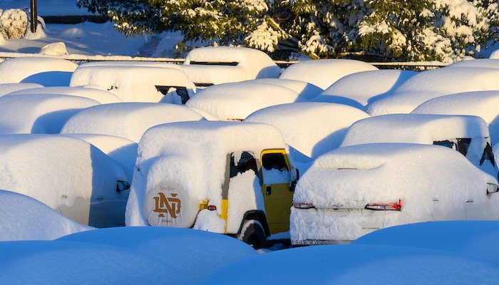 Read Plunging into winter by Notre Dame Stories