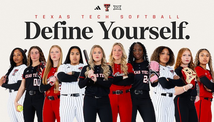 Read Define Yourself: Softball by Elise Bressler