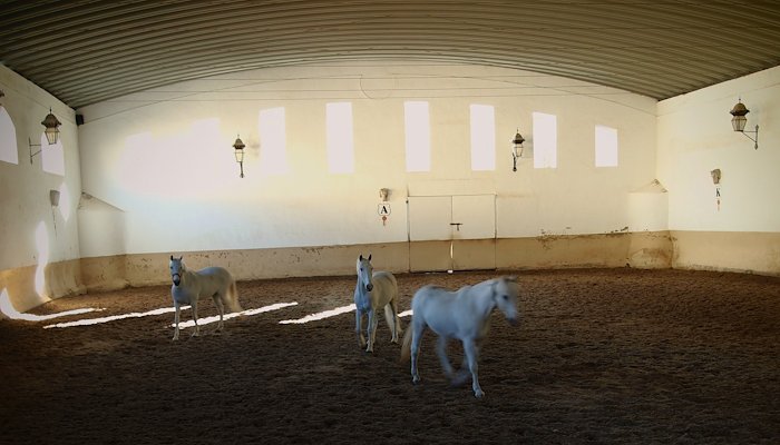 Read Andalucia by Mark Smith