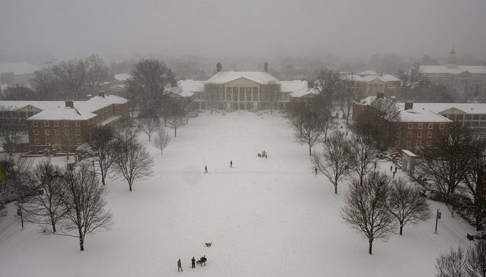 Read Winter in the Forest by Wake Forest University