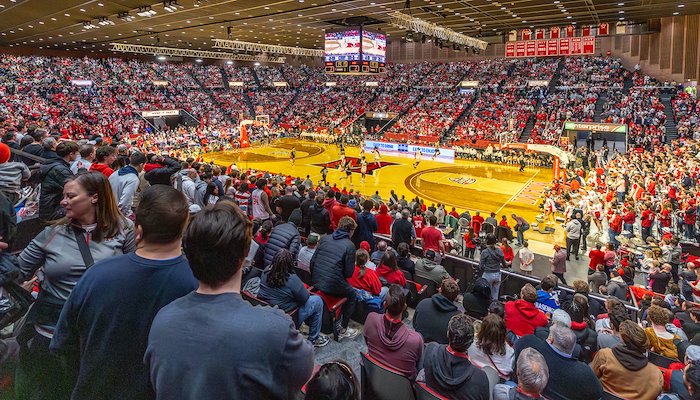 Read One Miami Basketball by Sabrina Stanifer