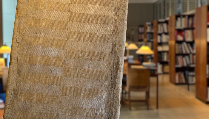 Read JAPANESE SAMPLE CATALOGUES by Lars Hansen