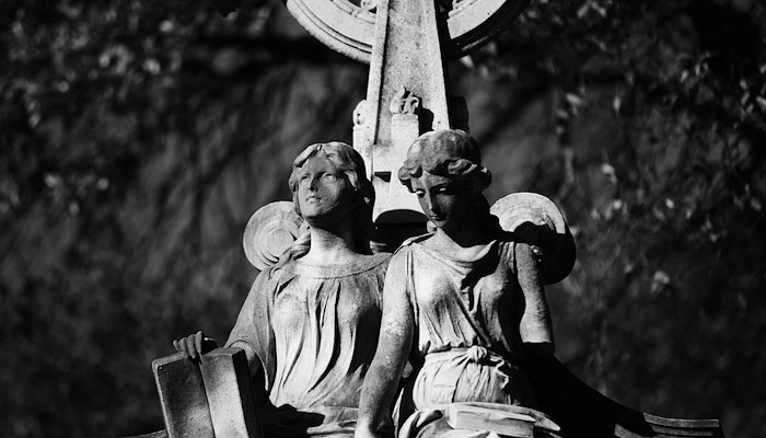 Read Stone Life by Dominque Gipson