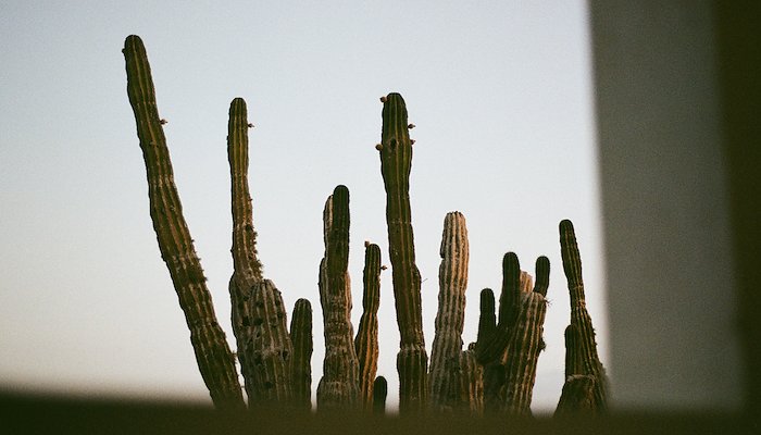 Read Todos Santos by Jeff Reid