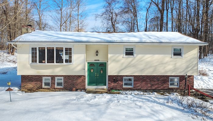 Read 268 Chestnut Land Rd by Ari Lee