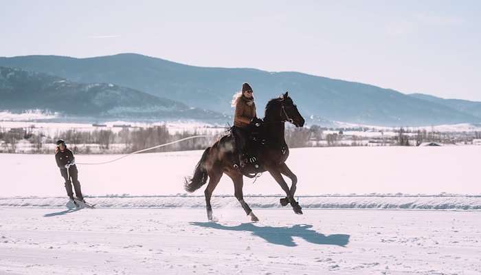 Read Rodeo on ice by Rivian