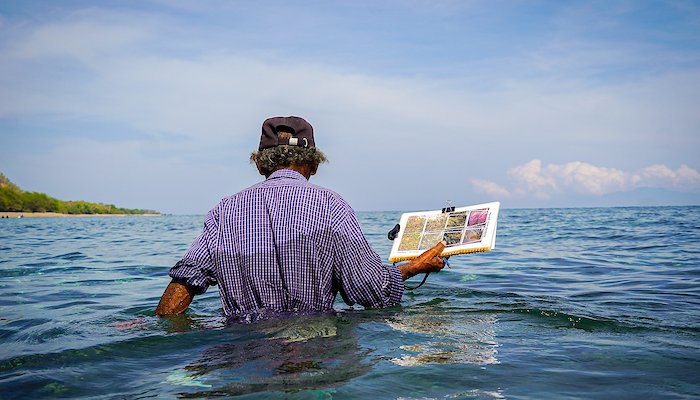 Read Reading the Timorese Sea by Blue Ventures