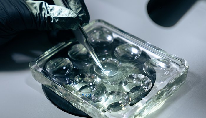 Read Tomorrow's Leaders by KSU Strat-Comm