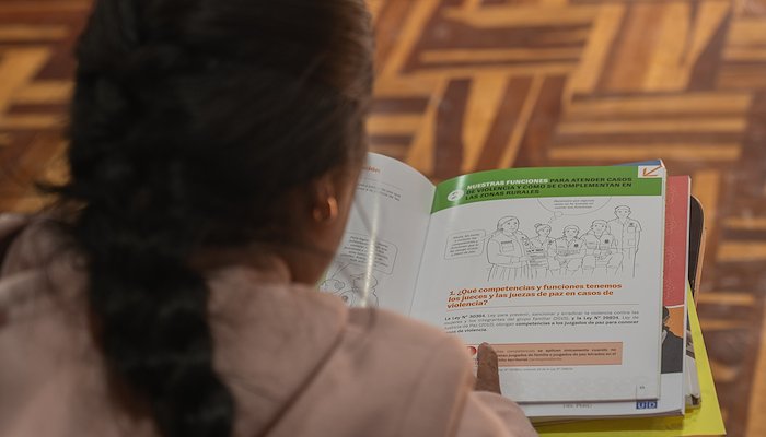 Read Justice, Leadership, and Action for Women and Girls in Latin America and the Caribbean by PNUD en América Latina y el Caribe