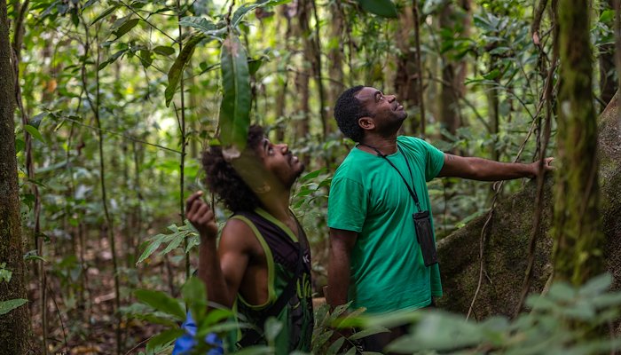 Read A new era by Marian Reid