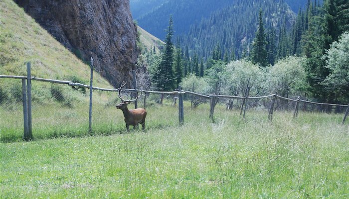 Read Closing the conservation gap by GRID-Arendal