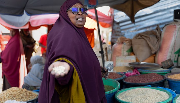 Read UNLOCKING SME FINANCE IN SOMALIA’S FRAGILE AND CONFLICT-AFFECTED SETTINGS by UNDP Somalia