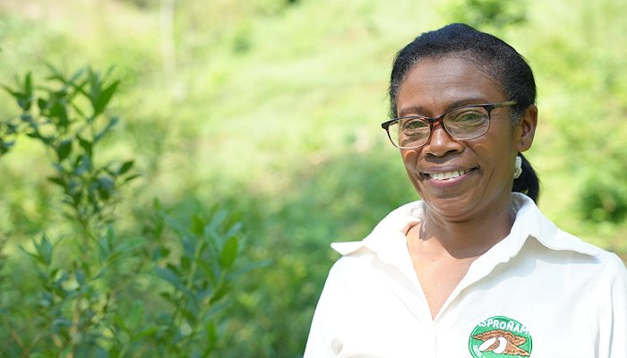 Read Sembrar distinto para vivir mejor: la historia de Danilsa y la tierra que renace by PNUD Colombia