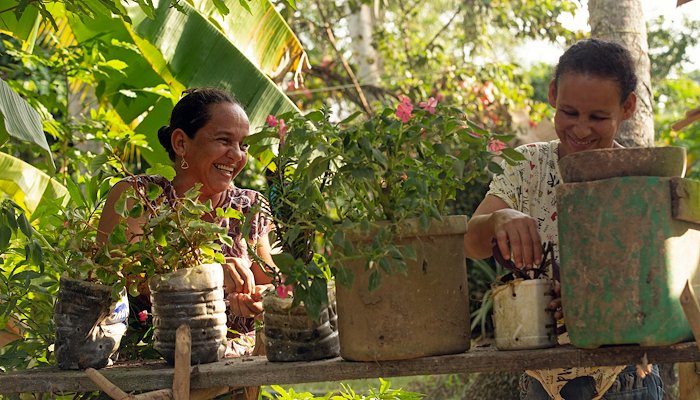 Read Si la tierra responde al clima, las comunidades resilientes también by PNUD Colombia