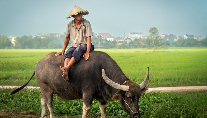 Read Central Vietnam - Hidden Wonders by Thorsten Mehret