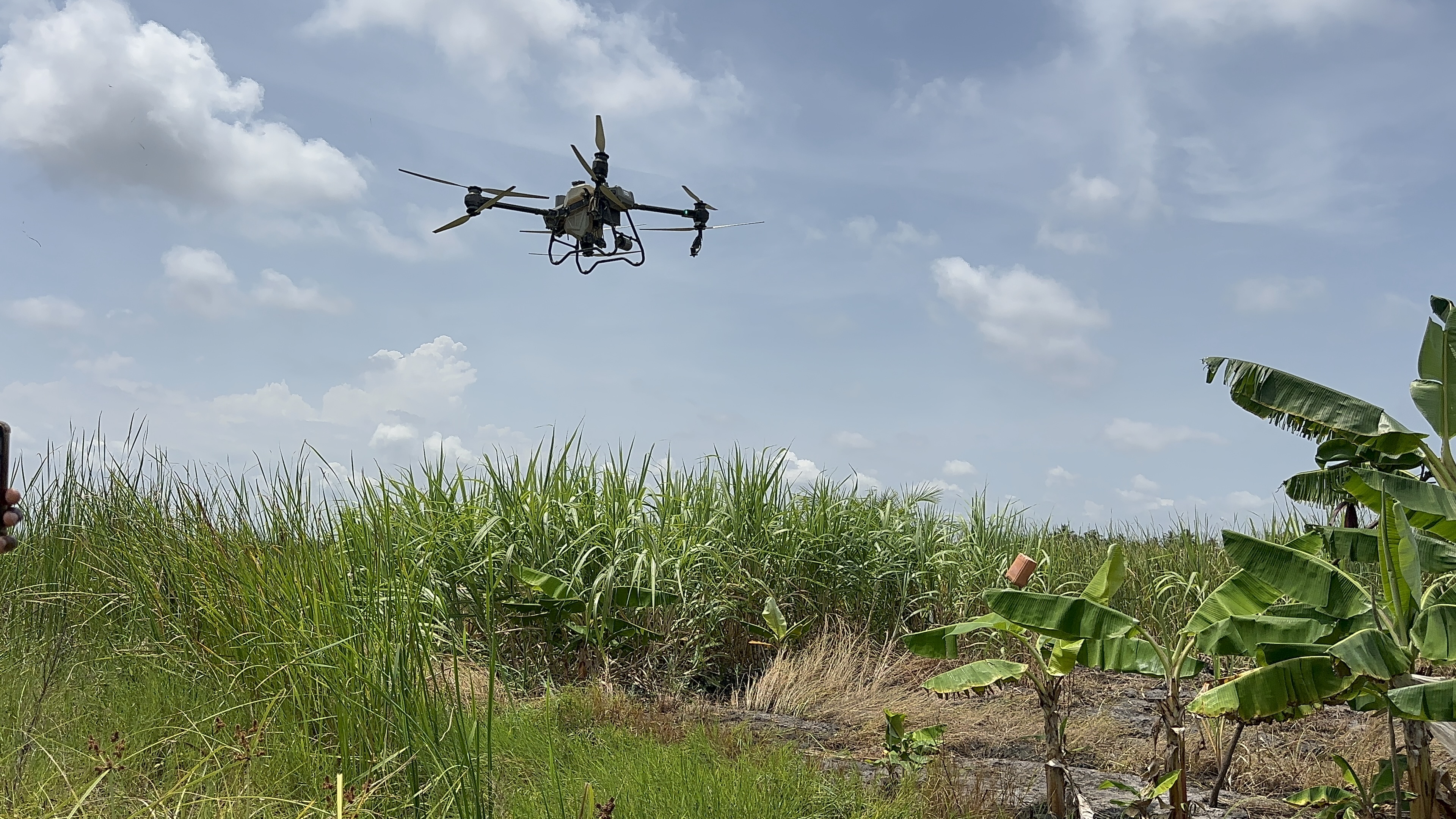 Harnessing drones and AI to combat malaria in Ghana - cover photo