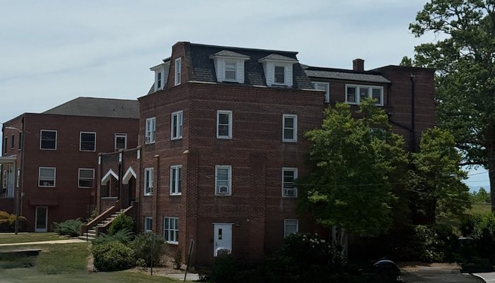 Read Fostering Community by UNC Asheville