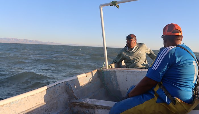 Read The “World’s Aquarium” Is Falling Silent by UN Volunteers