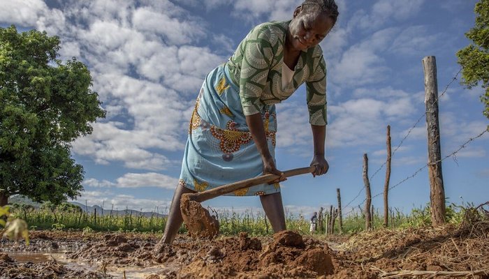 Read AFRICA IS SO RICH IN FARMLAND – SO WHY IS IT STILL HUNGRY? by Oxfam in Southern Africa