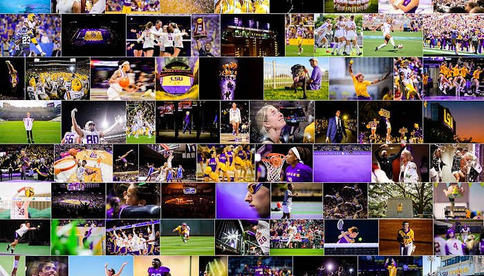 Read 2021-2022 Top Photos by LSU Athletics