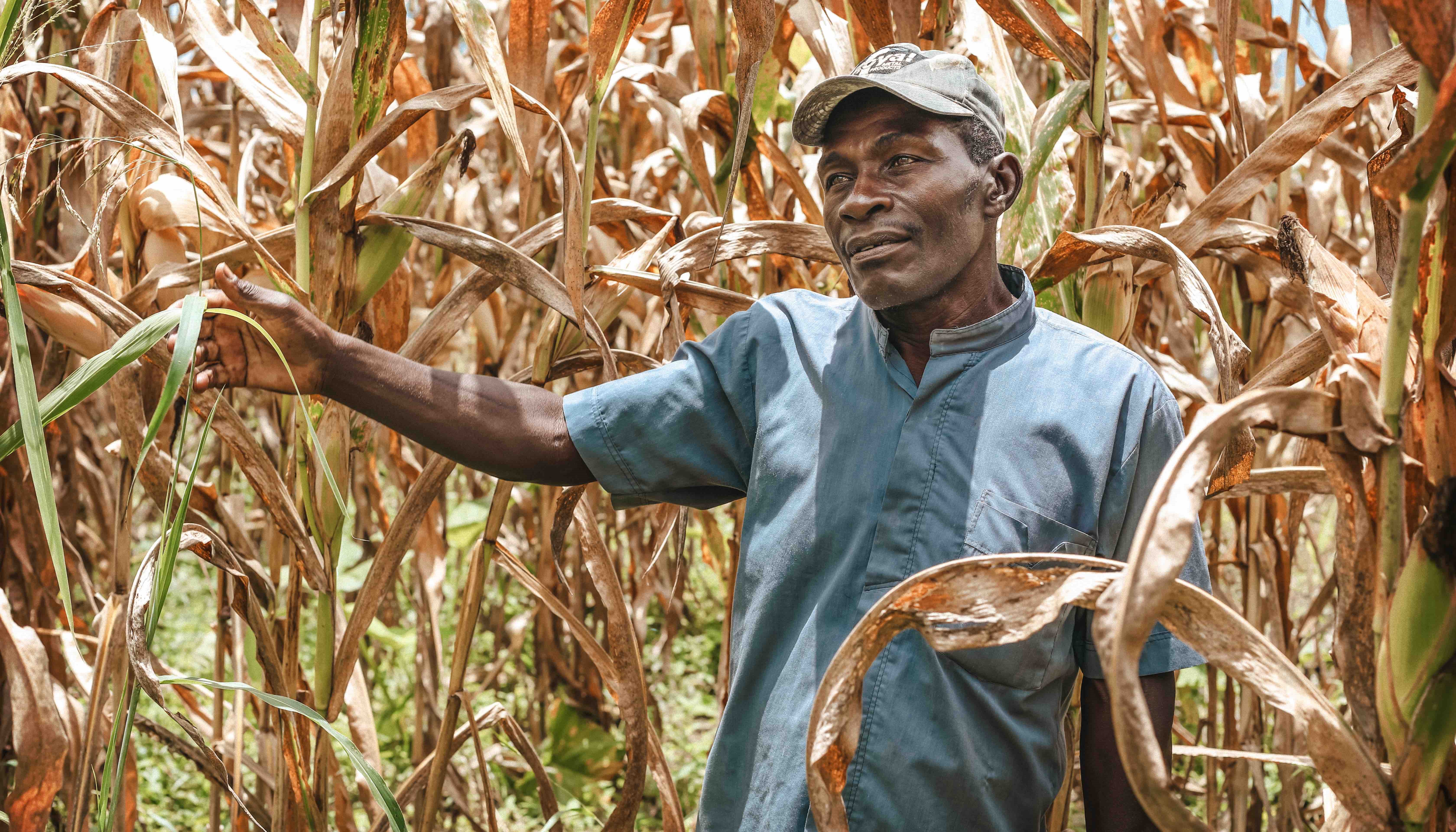 Read Road blockade shatters resilience in southern Haiti by United Nations OCHA