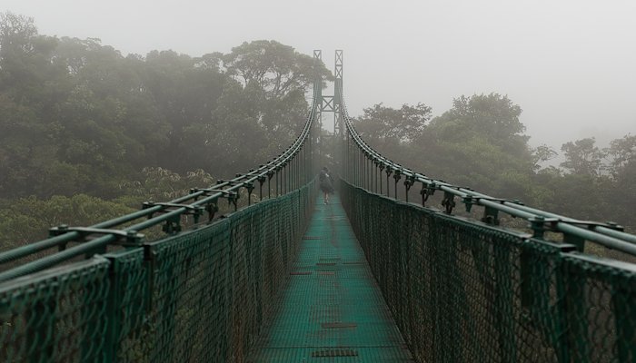 Read Monteverde Cloud Forest by Photojojo