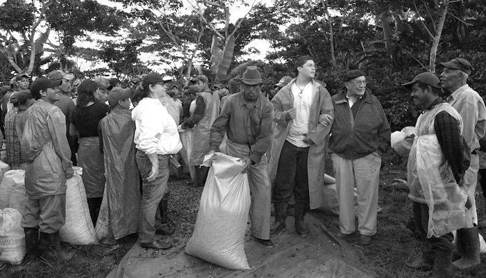 Read Ethical Coffee Chain by Adam King