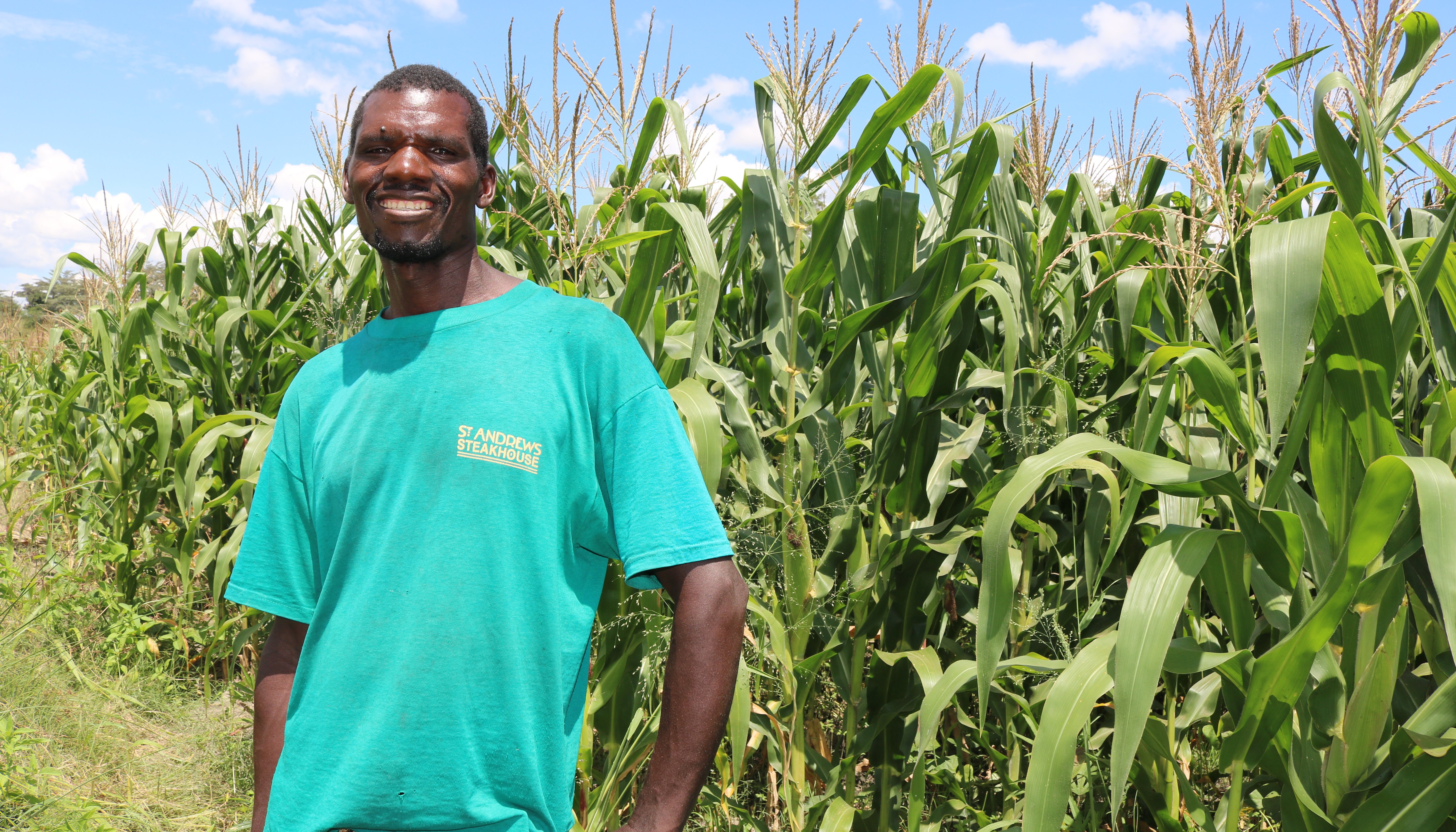 Read CONSERVATION AGRICULTURE LETS ZAMBIAN FARMERS ADAPT TO A CHANGING CLIMATE by UNDP Zambia