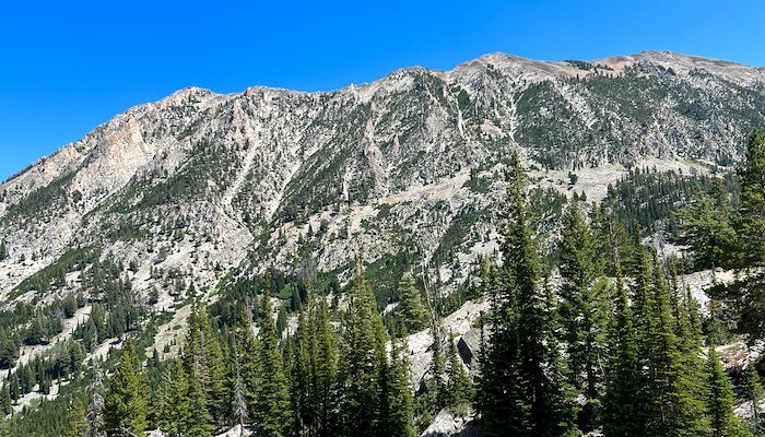 Read 1ST BACKPACKING TRIP by Ryan Bidinger